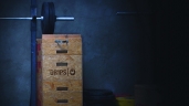 갤러리